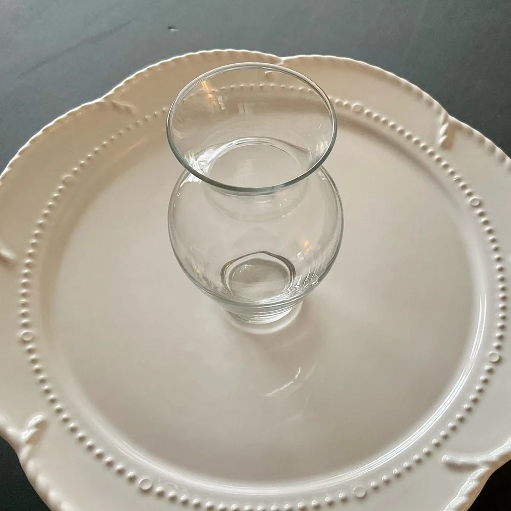 Clear Glass Bulb Forcing Vases Set of Two